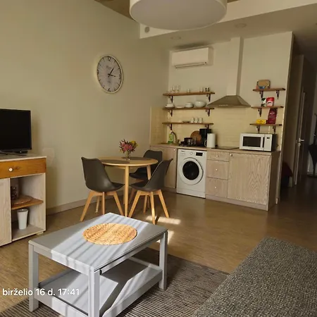 Happy Plentiful Old Town Studio, Self Check-in, Ac, Parking In The Underground Garage * Vilnius