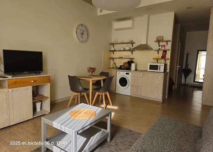 Happy Plentiful Old Town Studio, Self Check-in, Ac, Parking In The Underground Garage * Βίλνιους